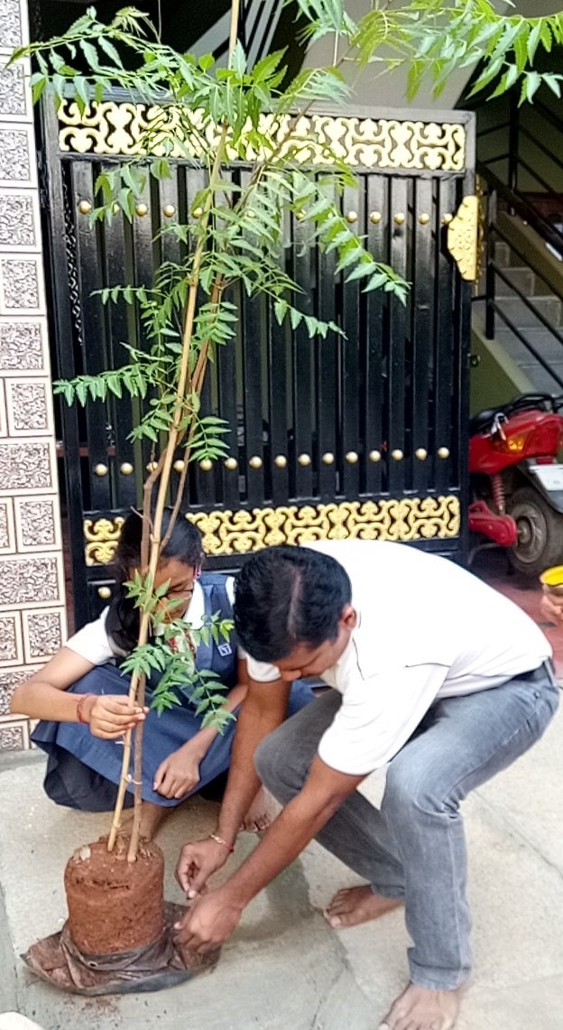 2020_sep_bannerghatha_teak_plant